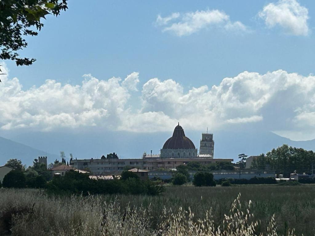 Nido Del Parco, Delizioso Bilocale A Pisa Apartment ภายนอก รูปภาพ